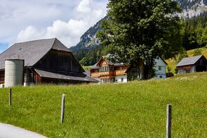 BH mojer-3101-2021-08-03.jpg