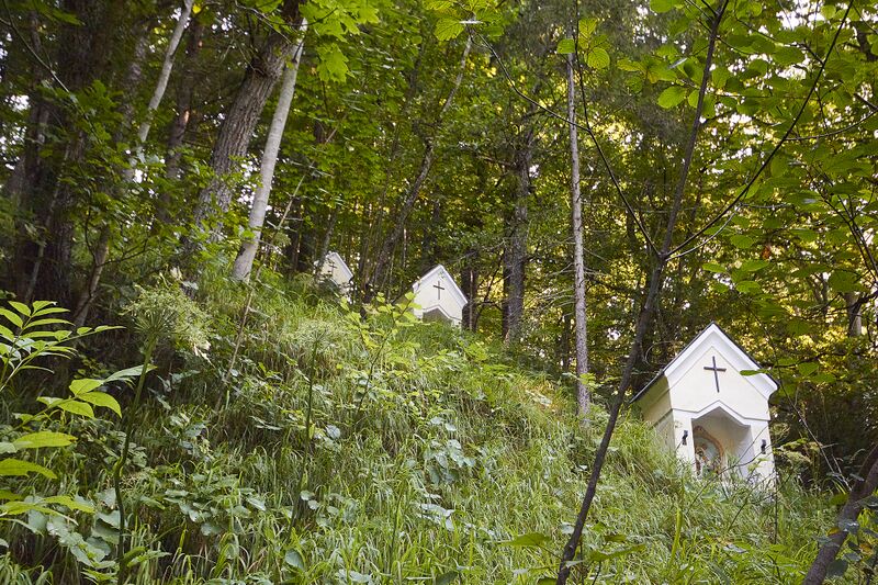 Datei:BST 6 KalvBerg K-Landl-0045-2025-08-06.jpg