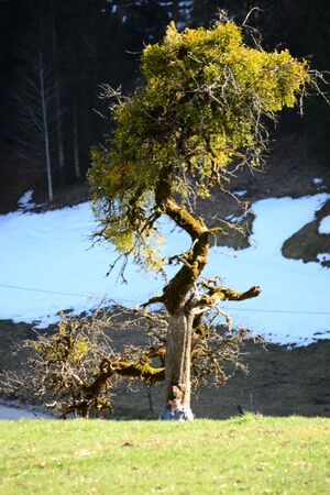 Die Seele baumeln lassen (2).JPG