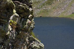 Giglachsee 1226 2011-06-22.jpg