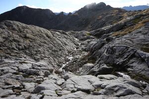 Goldlacken 0233 2013-10-08.jpg