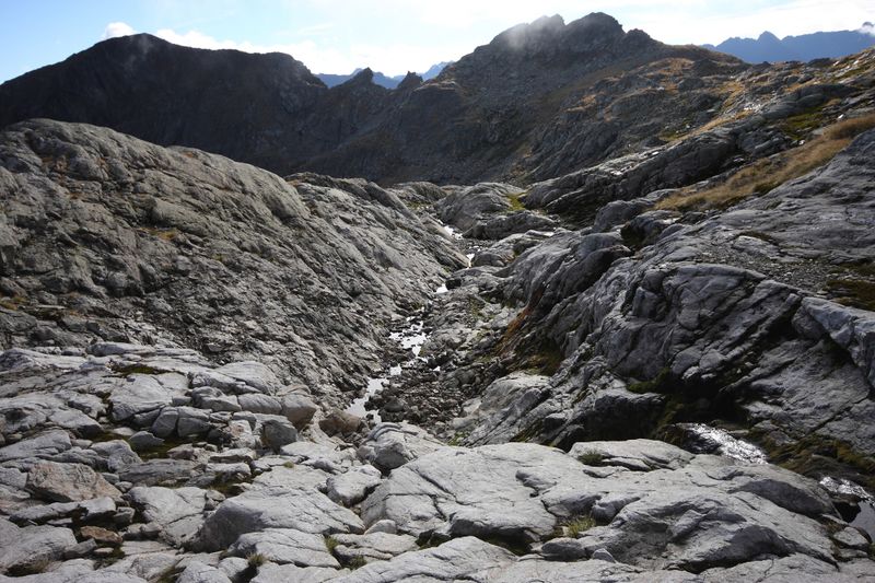 Datei:Goldlacken 0233 2013-10-08.jpg