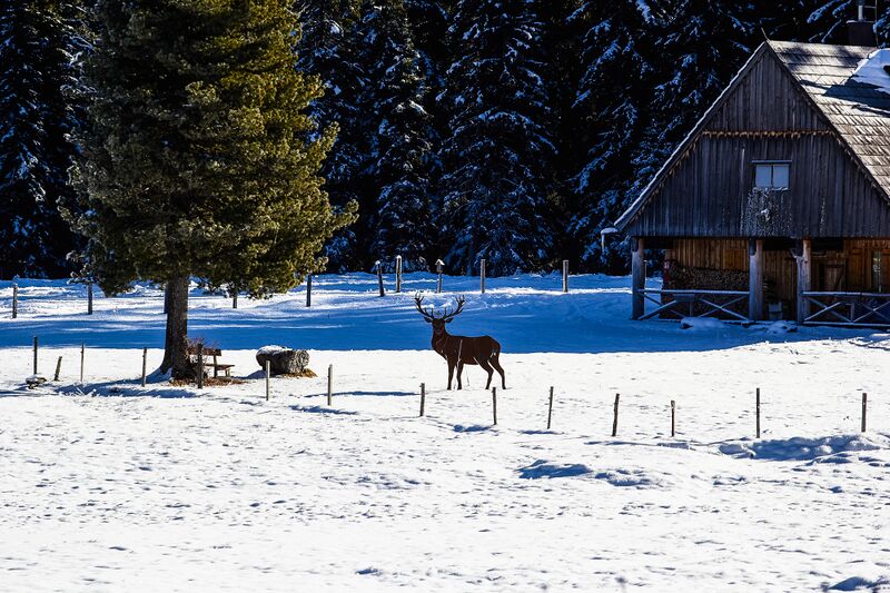 Datei:Jagdhütte miesboden-1001-2020-11-28.jpg