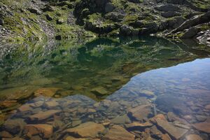 Kaltenbachsee planaiHW 0791 2011-08-11.jpg