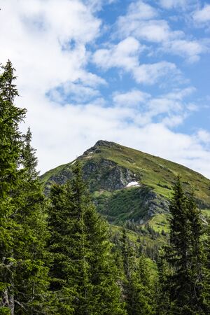 Mölbegg 84495 2014-06-18.jpg