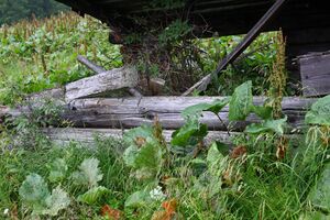 Madelsgrubenalm-großsölk 97533 2015-07-09.jpg
