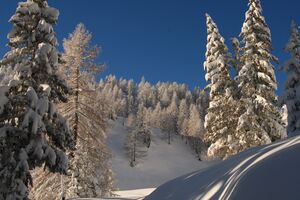 Obere Moseralm 50116 2007-11-28.jpg