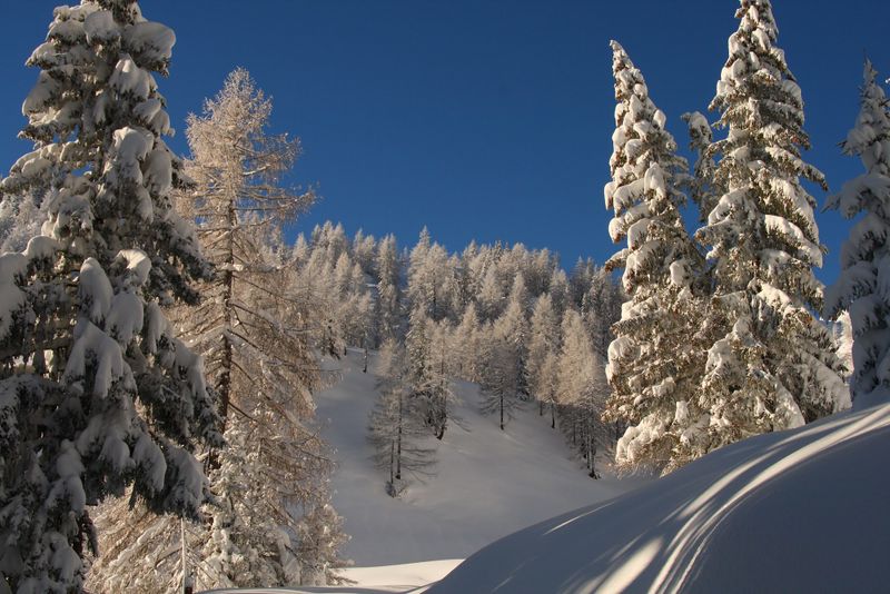 Datei:Obere Moseralm 50116 2007-11-28.jpg