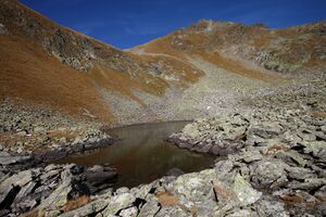 Oberer Wiegensee 75862 2014-10-18.jpg