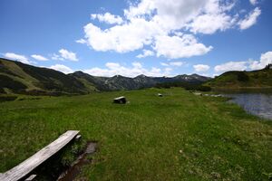 Plannersee 65298 2014-06-26.jpg