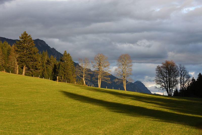 Datei:Rösteralm rittisberg 79353 2014-11-16.jpg