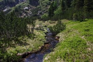 Sabinkar 90239 2015-06-08.jpg