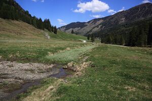 Sattental 46002 2017-05-19.jpg