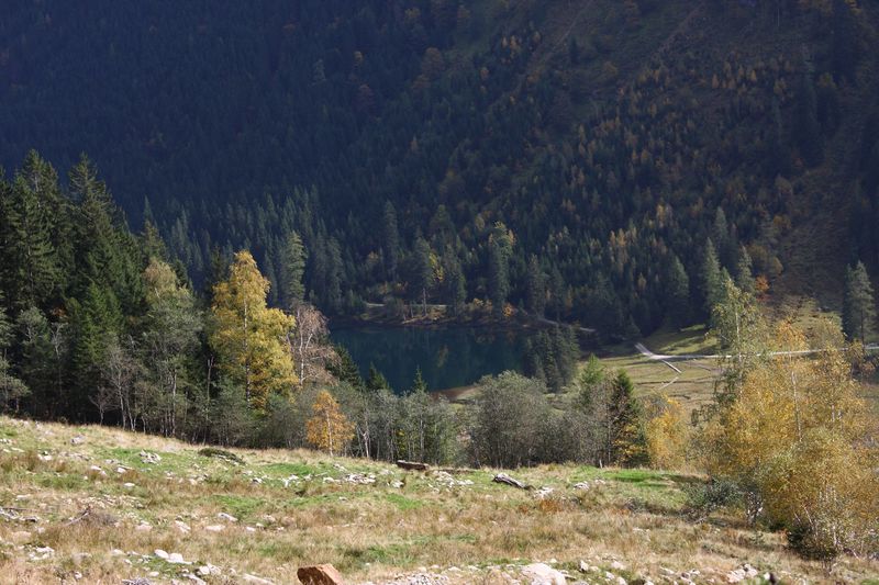 Datei:Schwarzensee kleinsölk 73577 2014-10-03.jpg