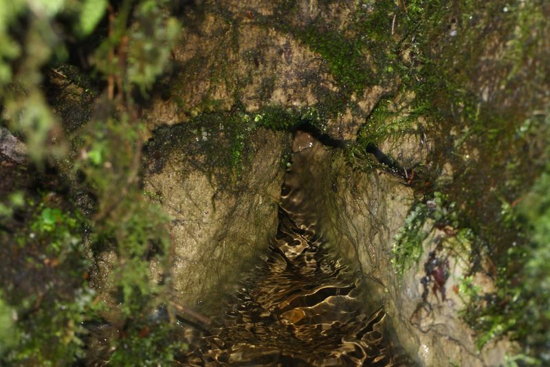 Datei:Siebenbrunnen 78145 2014-11-03.jpg