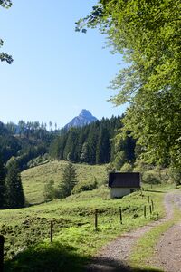 Stockingeralm reiflingviertel-0043-2025-09-15.jpg