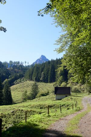 Stockingeralm reiflingviertel-0043-2025-09-15.jpg