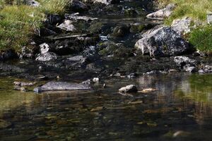 Stummeralmbach karlkirchen 99400 2015-08-28.jpg