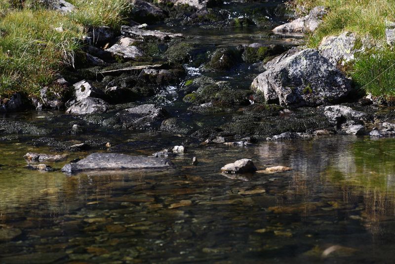 Datei:Stummeralmbach karlkirchen 99400 2015-08-28.jpg