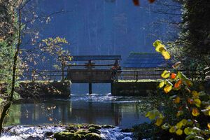 Toplitzsee 77687 2014-11-03.jpg