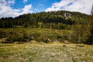 Zlaimmöser-Moore zleimalm-105-2020-05-27.jpg