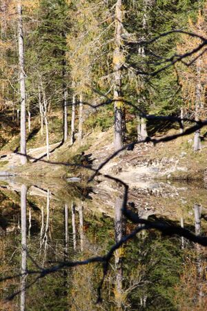 Ödensee 78078 2014-11-03.jpg
