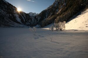 Bodensee 26484 2014-01-01.jpg