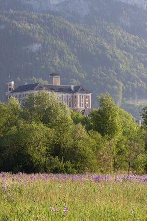 Enns-Altarme bei Niederstuttern 58855 2014-05-26.jpg