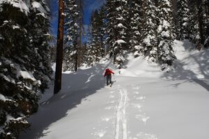 Große wiesmahd 80429 2015-01-07.jpg