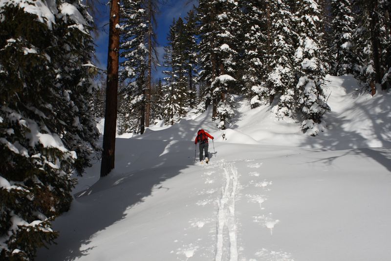 Datei:Große wiesmahd 80429 2015-01-07.jpg