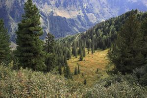 Jausenkogel ost 56283 2017-08-23.jpg