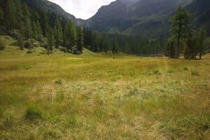 Knallkar großsölk 55663 2016-08-17.jpg