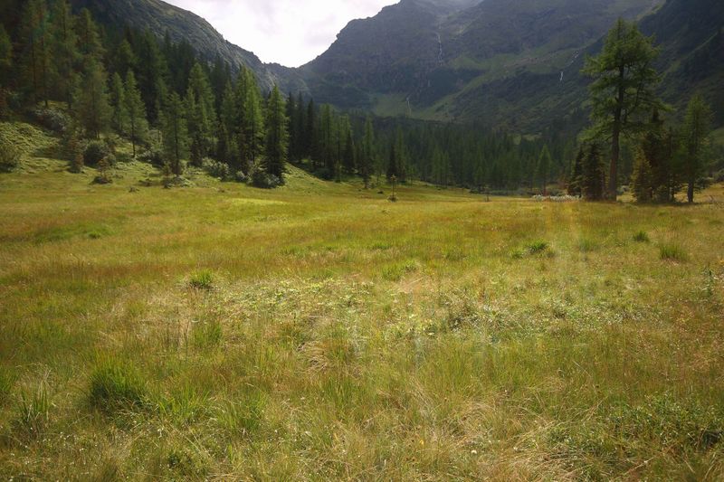 Datei:Knallkar großsölk 55663 2016-08-17.jpg