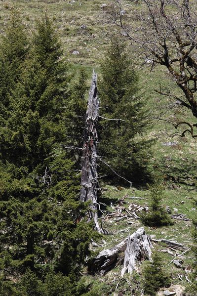 Datei:Sattental 45826 2017-05-19.jpg