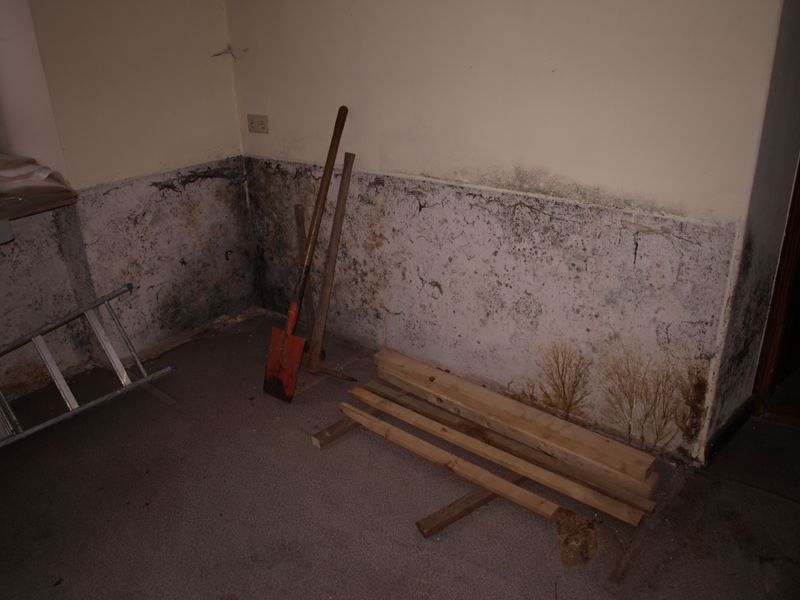 Datei:Schimmel im Denkmal.jpg