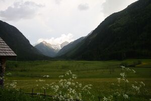 Tettermoor 22708 2008-06-02.jpg