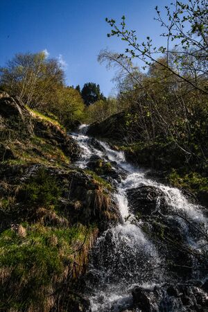 Tieftalbach-08-08. Mai 2008-20.jpg