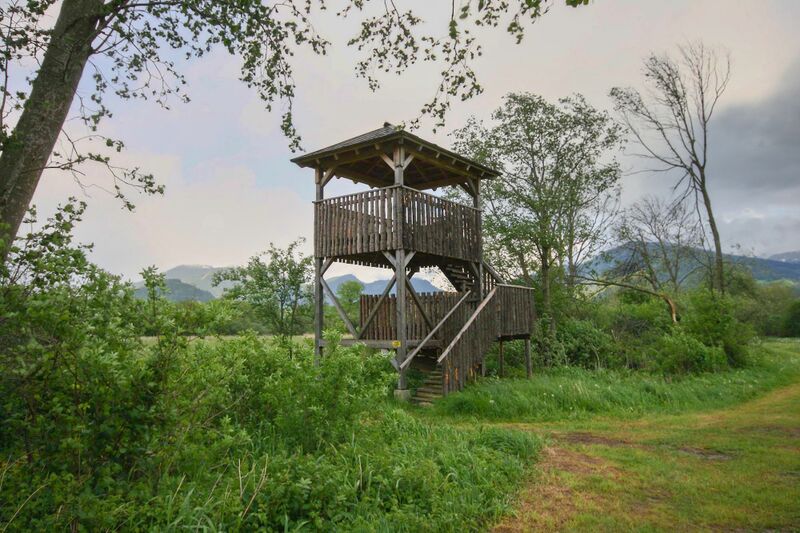 Datei:Trautenfels niederstuttern 57824 2014-05-14.jpg