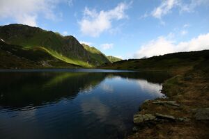 Untere riednersee 65383 2014-06-26.jpg