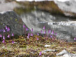 Weitkar putzental 16573 2006-07-06.jpg
