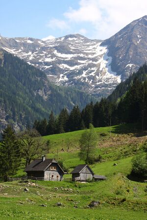 Angereralm-untertal 88735 2015-05-18.jpg