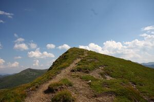 Hintergullingspitz 950 13-08-05.jpg