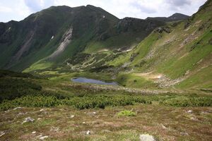 Kl reitersee sommereck 77884 2018-06-11.jpg