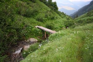 Mößnakarbach 1306 13-07-12.jpg