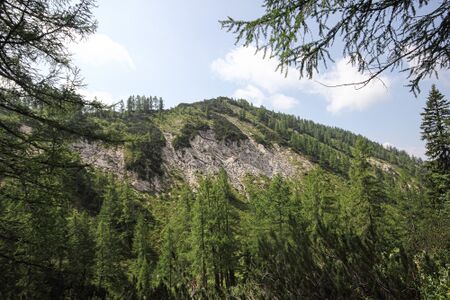 Mitterberg -steirersee 51601 2017-06-24.jpg