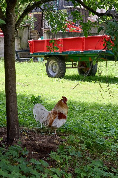 Datei:Stadlmann vlg lippebner-0730-2023-06-16.jpg