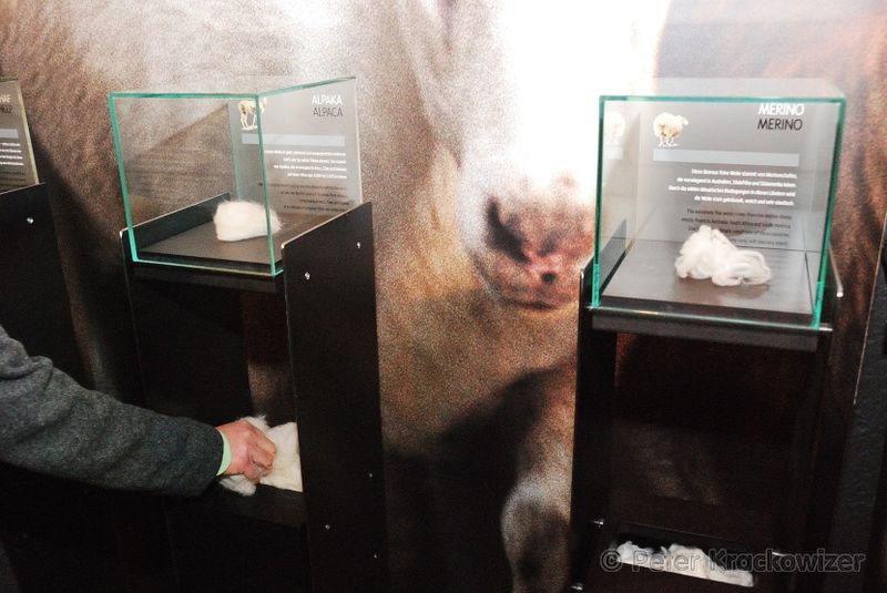 Datei:Steiner1888 Wollwelt 03.jpg