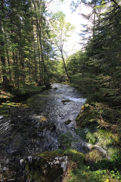 Datei:Strummern mühlreith 47229 2017-05-17.jpg