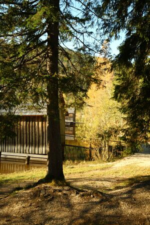 Ödensee 77964 2014-11-03.jpg