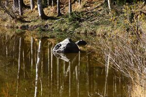 Ödensee 78066 2014-11-03.jpg